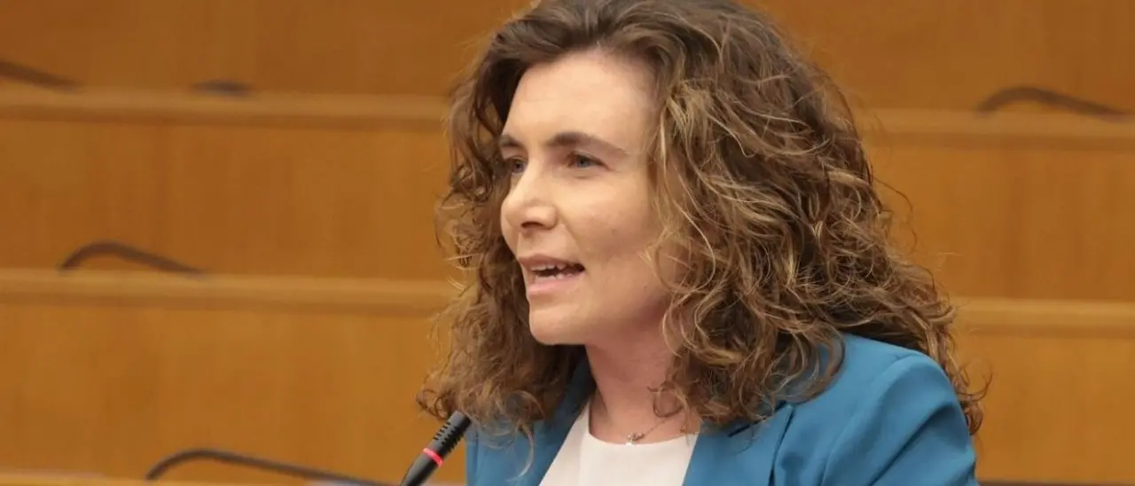 Tirocinanti Calabria, Orrico: «Il contributo della Regione? Un’elemosina. Dove sono le risorse promesse?»\n