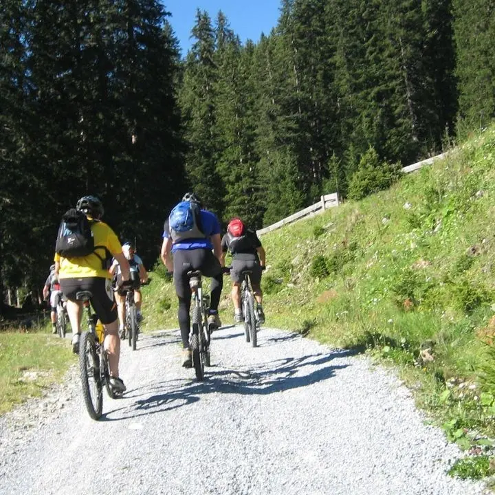 “BAM! On the Road”, alla scoperta delle bellezze della Calabria in bici: tutto pronto per l’evento cicloturistico\n