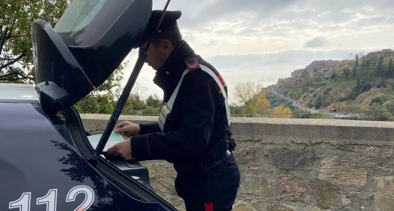 Ragazza colpita da calci e pugni all'uscita di scuola nell’Alto Tirreno cosentino,\u00A0indagano i carabinieri