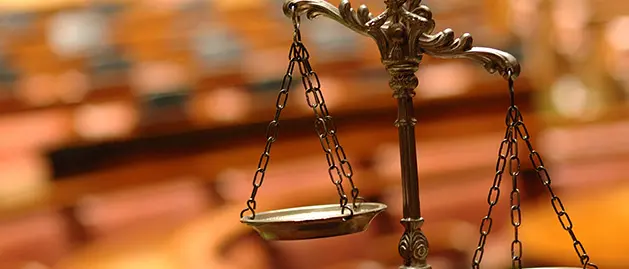 Processo Imponimento: fissato il processo d’appello a Catanzaro per 66 imputati, ci sono anche i fratelli Stillitani\n