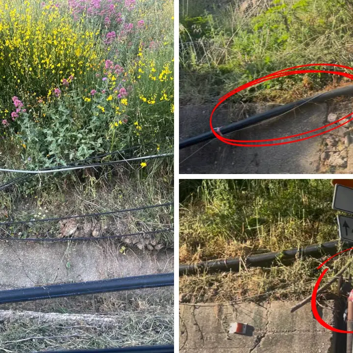 Dieci ore senza connessioni telefoniche e internet: basta un taglio d’erba per spegnere Acri\n