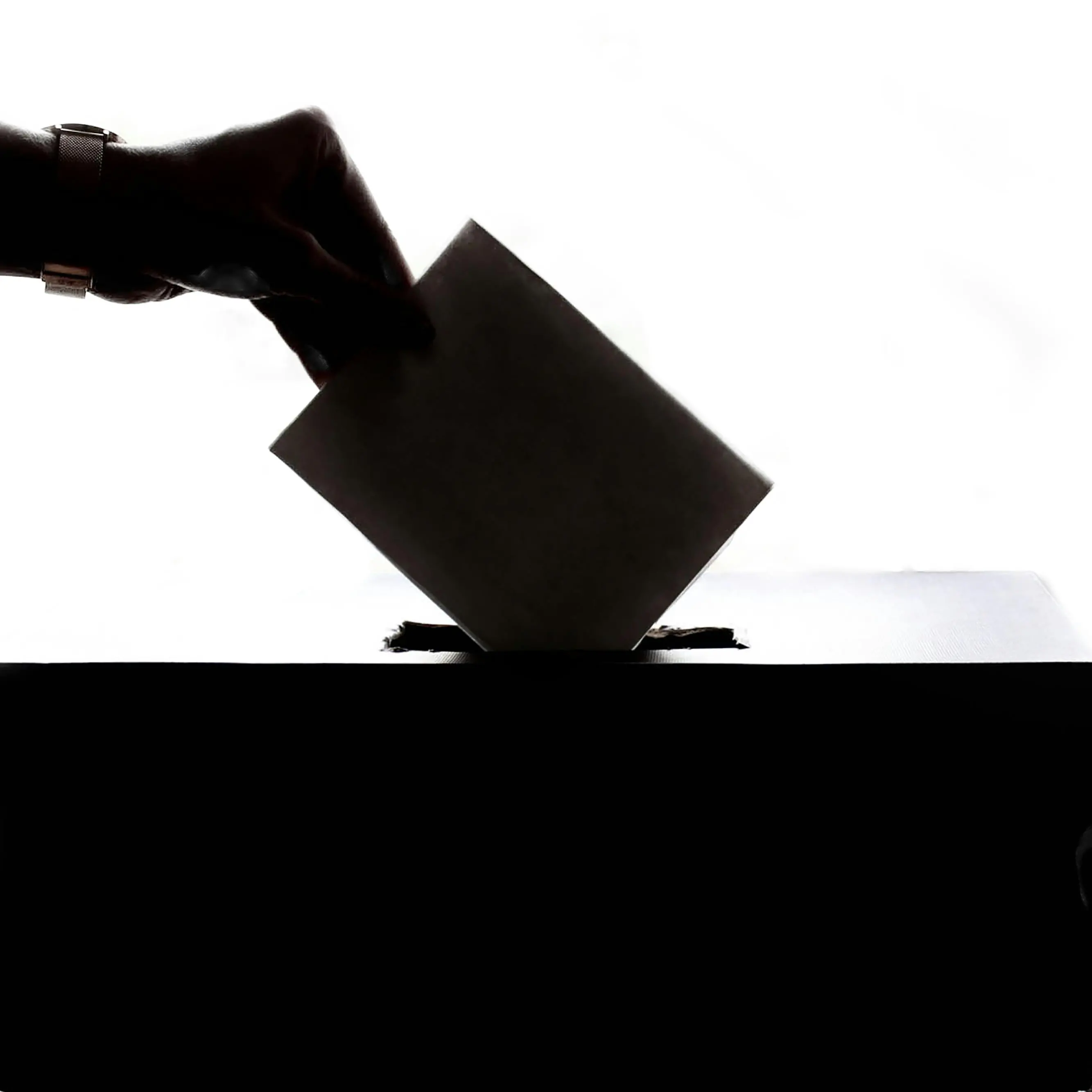 Votare o non votare? Questo è il dilemma. C'è chi spera nel meteo avverso...\n