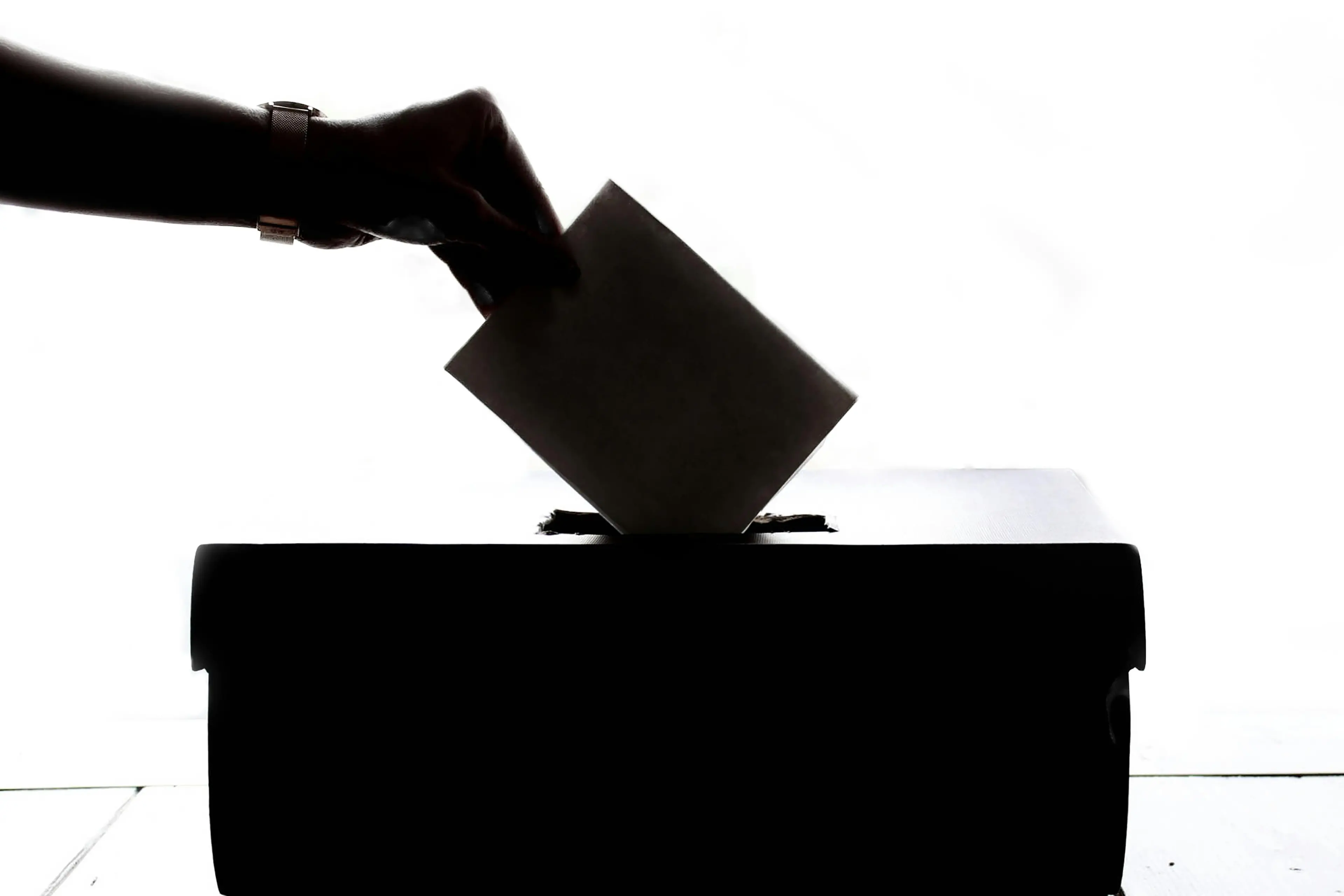 Votare o non votare? Questo è il dilemma. C'è chi spera nel meteo avverso...\n