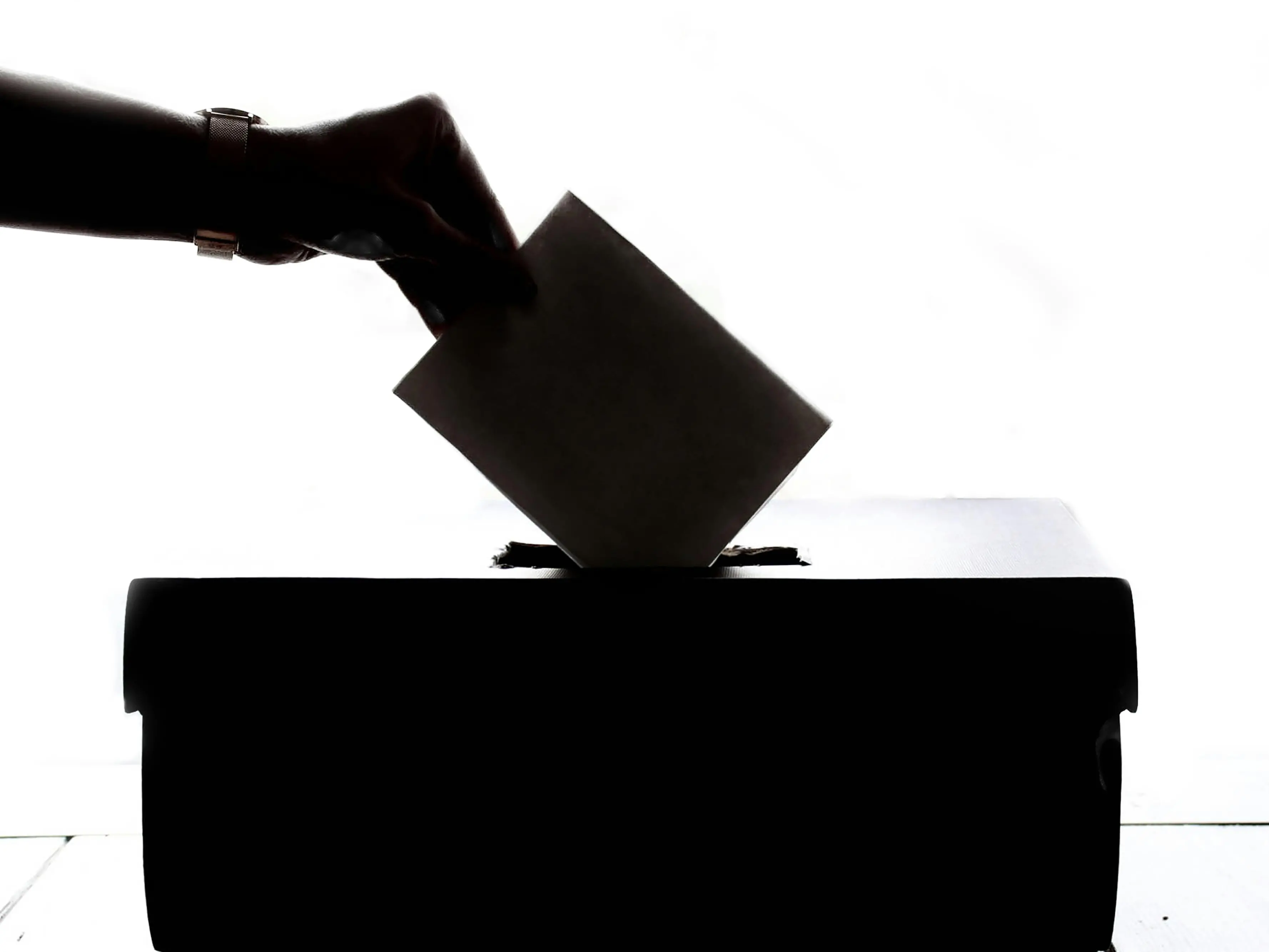 Votare o non votare? Questo è il dilemma. C'è chi spera nel meteo avverso...
