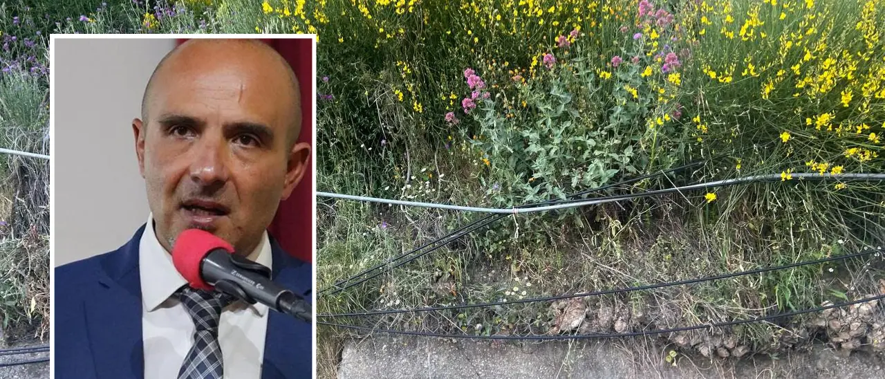 Telefonia e internet in tilt ad Acri: il sindaco Capalbo diffida Telecom e Anas dopo l’ennesimo blackout delle comunicazioni\n