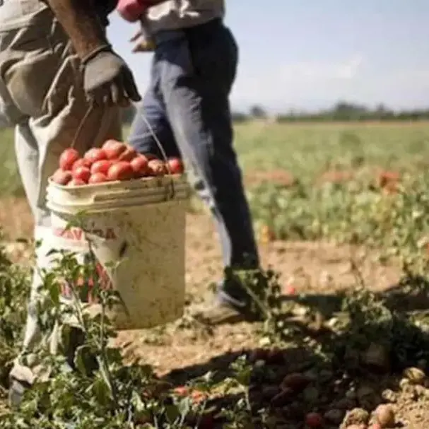Al via Su.Pr.Eme.2: più diritti e tutele per i braccianti migranti del Sud\n