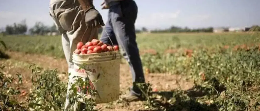 Al via Su.Pr.Eme.2: più diritti e tutele per i braccianti migranti del Sud\n