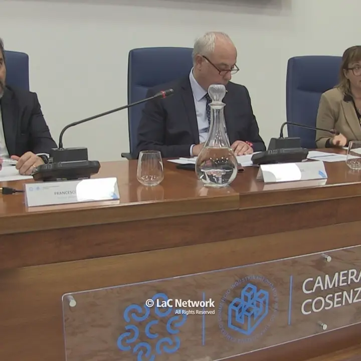 La sfida demografica, lectio magistralis di Francesco Billari alla Camera di Commercio di Cosenza\n