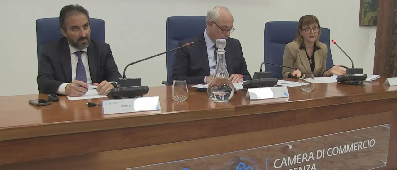 La sfida demografica, lectio magistralis di Francesco Billari alla Camera di Commercio di Cosenza\n