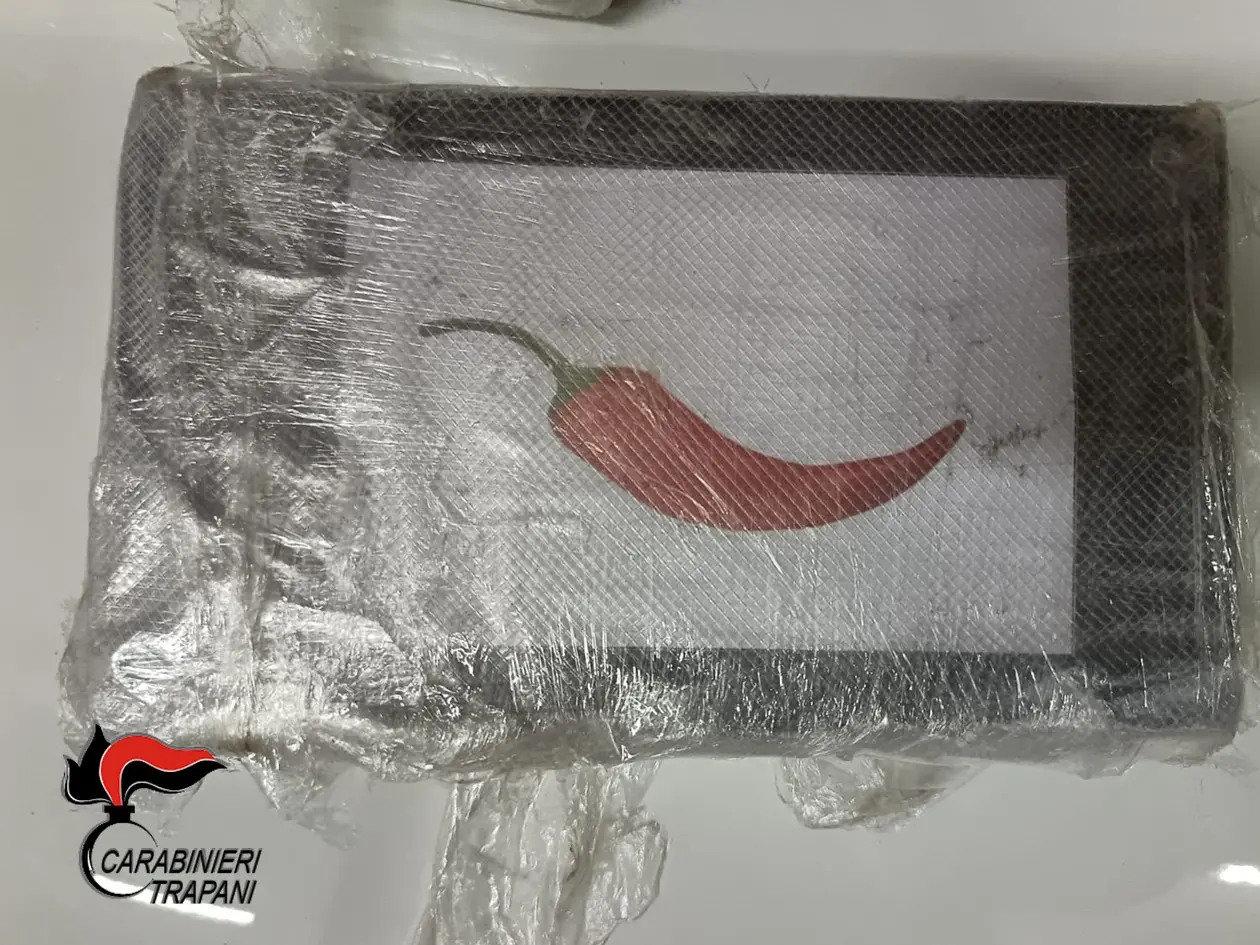 Calabresi in trasferta a Trapani con 3,5 chilogrammi di “cocaina al peperoncino”: due arresti\u00A0\n