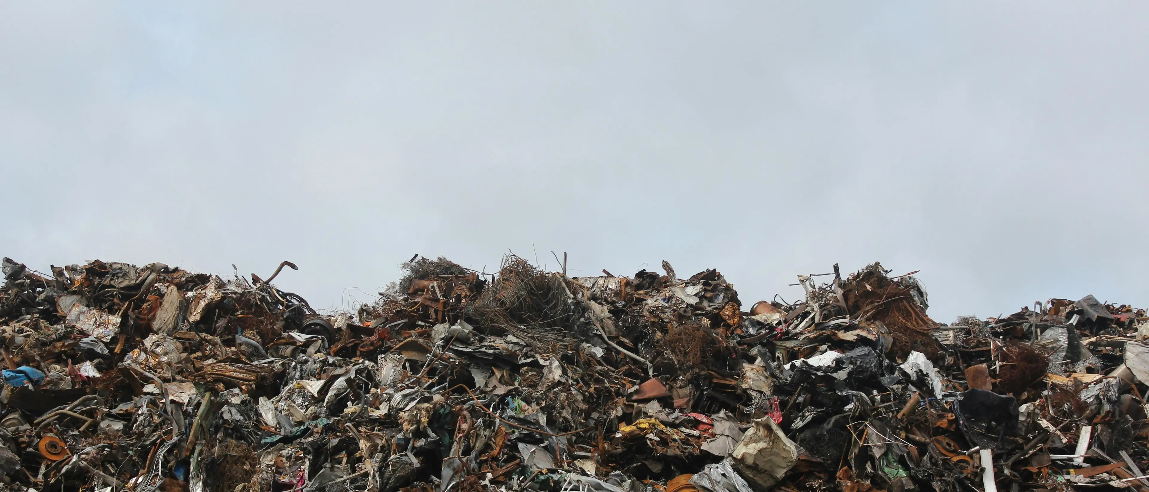 Disastro ambientale, la Calabria al primo posto per il più grave tra gli ecoreati\n