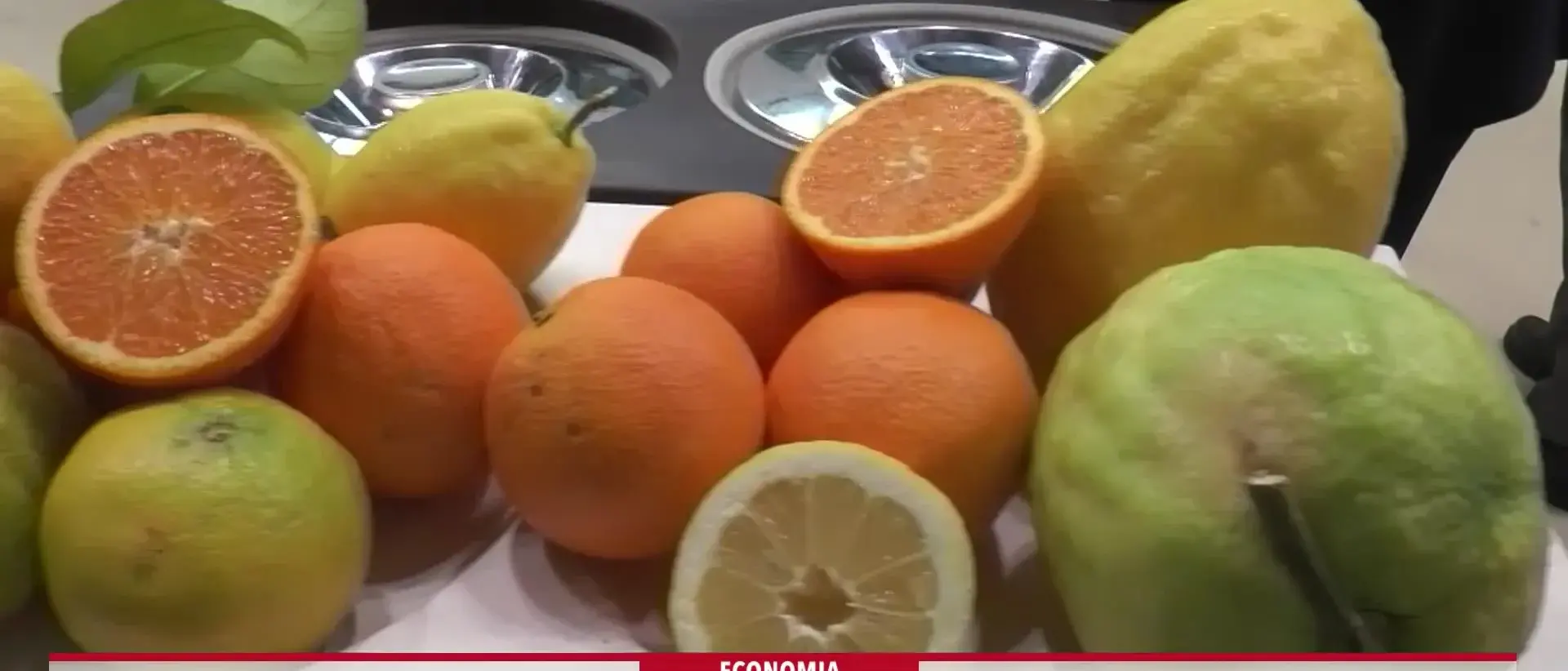 La Calabria protagonista (anche) a MacFrut 2025: un altro successo per l’agroalimentare regionale\n