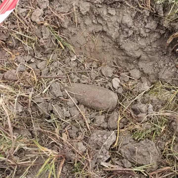 Trovata una bomba della Seconda guerra mondiale nel cantiere del campus universitario di Catanzaro\n
