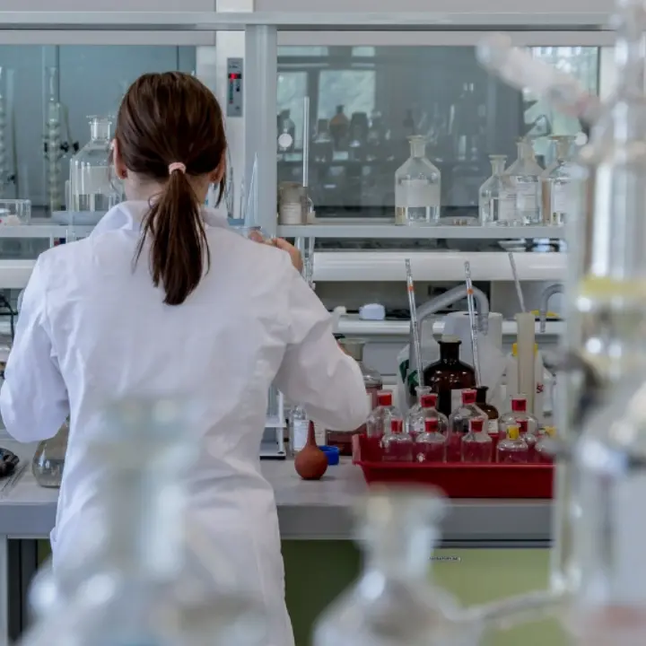 I funghi che uccidono in silenzio: la minaccia reale dietro la fiction\n
