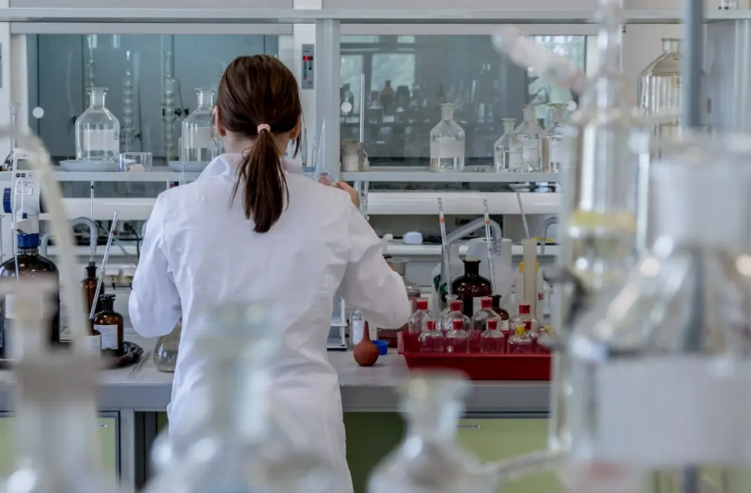I funghi che uccidono in silenzio: la minaccia reale dietro la fiction\n