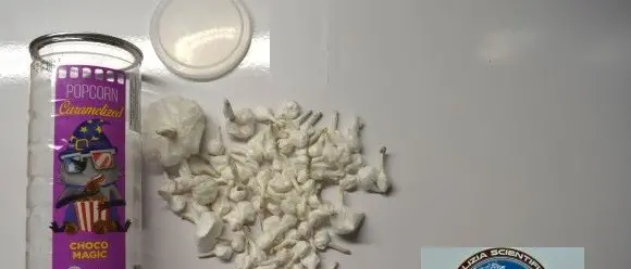 Catanzaro, spaccio di cocaina dietro un banco di ortofrutta: due arresti\n