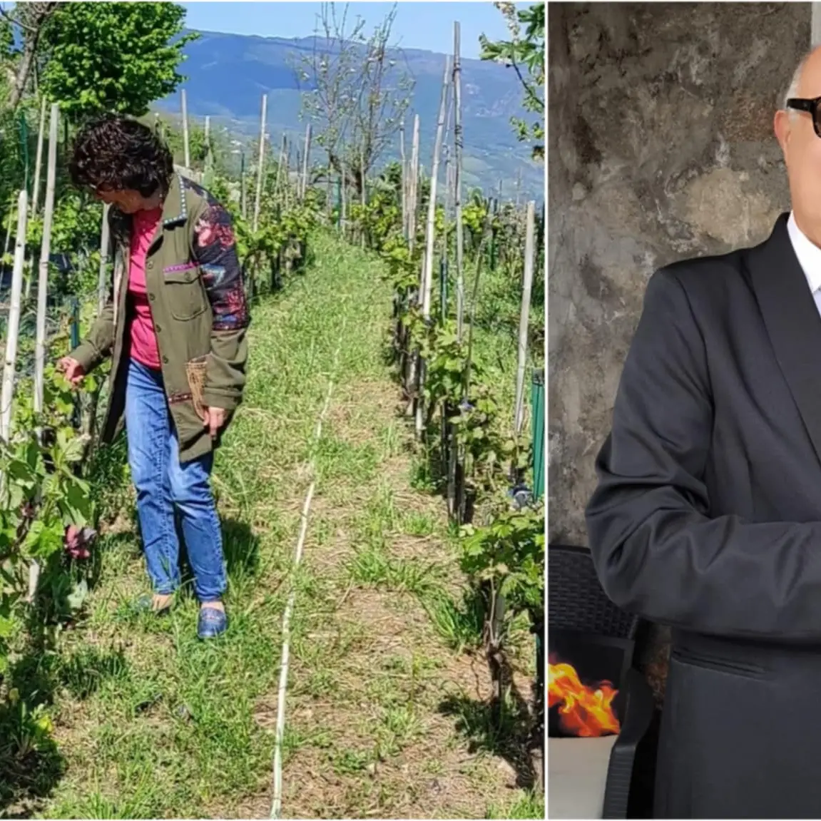 Va in pensione e recupera un vigneto abbandonato in Calabria: «Così racconto la bellezza struggente di una terra nascosta»\n