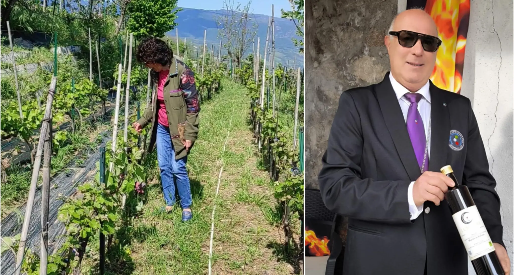Va in pensione e recupera un vigneto abbandonato in Calabria: «Così racconto la bellezza struggente di una terra nascosta»\n