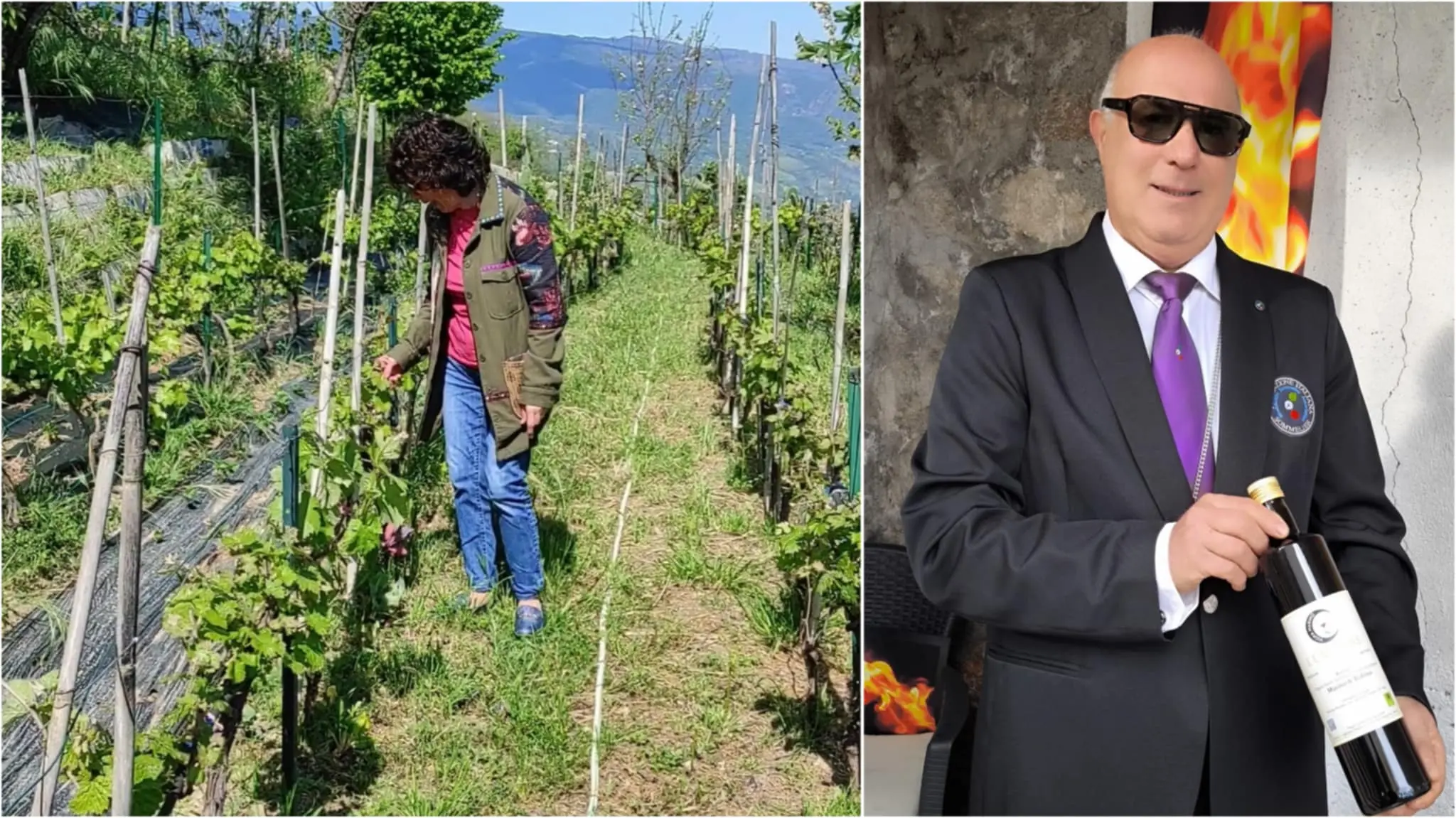 Va in pensione e recupera un vigneto abbandonato in Calabria: «Così racconto la bellezza struggente di una terra nascosta»\n