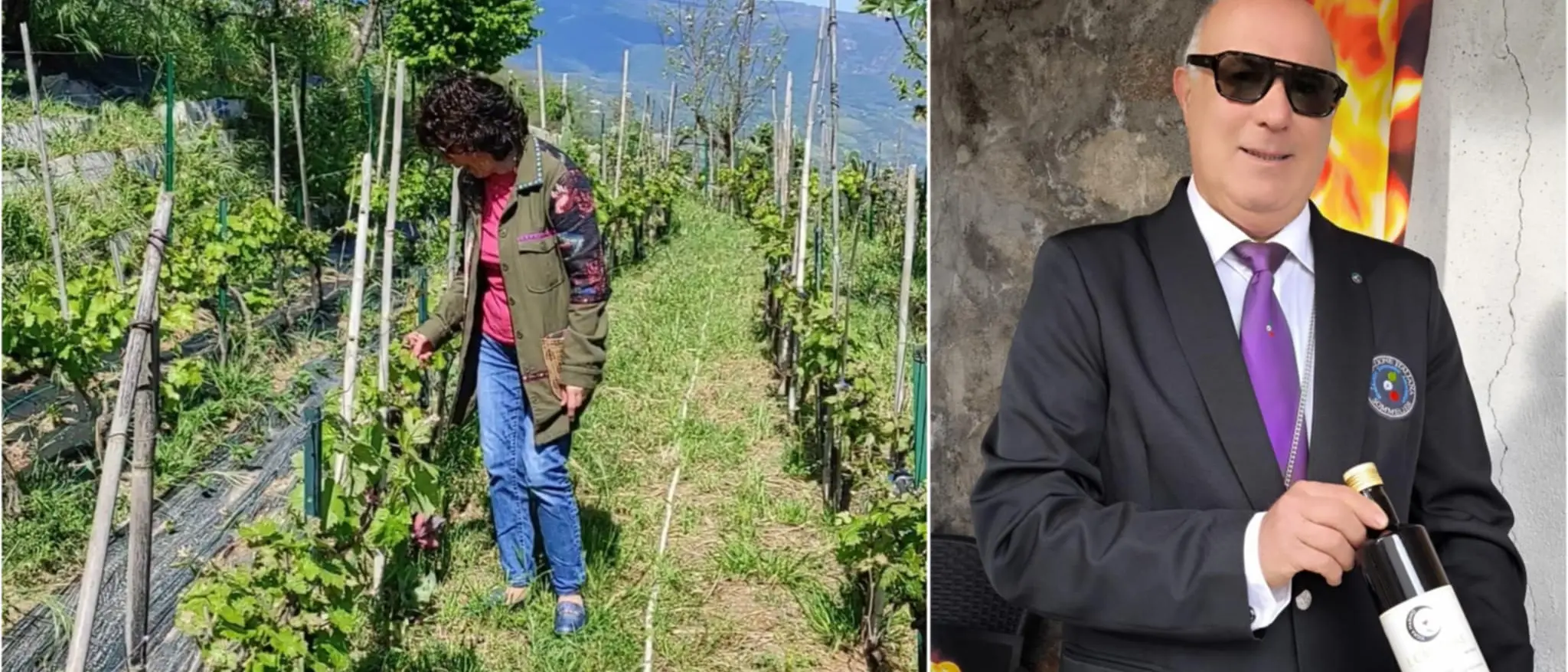 Va in pensione e recupera un vigneto abbandonato in Calabria: «Così racconto la bellezza struggente di una terra nascosta»\n