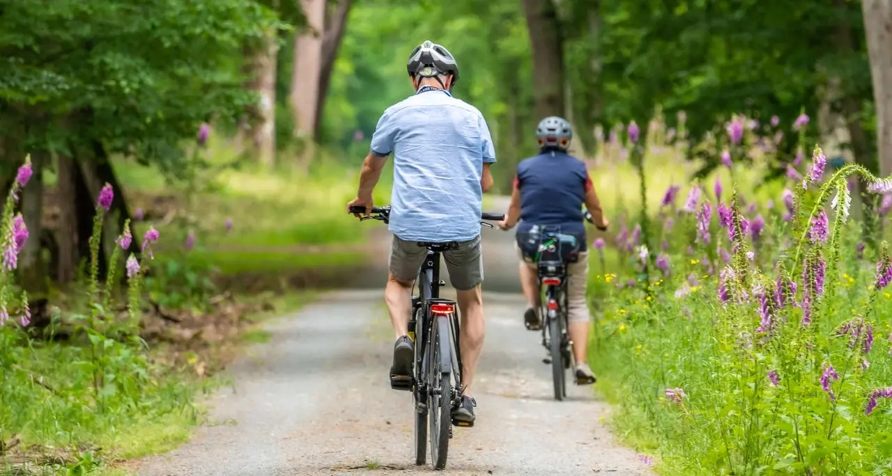 Bando nazionale “Bici in Comune”: Calabria con le ruote sgonfie, appena 10 Enti su 144 ottengono i fondi\n