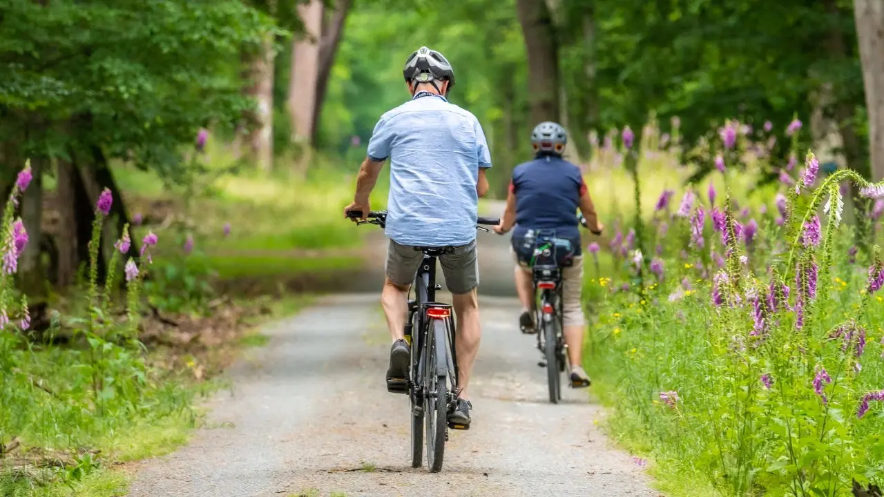 Bando nazionale “Bici in Comune”: Calabria con le ruote sgonfie, appena 10 Enti su 144 ottengono i fondi\n