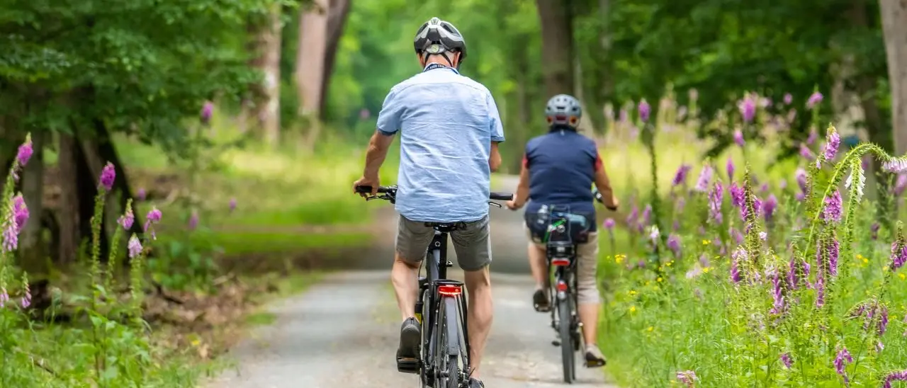 Bando nazionale “Bici in Comune”: Calabria con le ruote sgonfie, appena 10 Enti su 144 ottengono i fondi\n