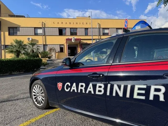 Controlli del Nas in un panificio nel Catanzarese: attività sospesa e 30 chili di alimenti sequestrati\n