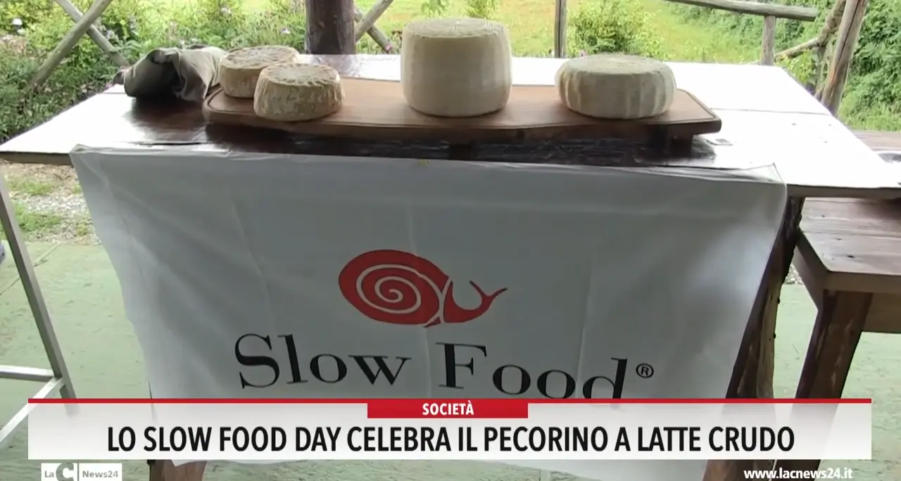 Lo Slow Food Day celebra il pecorino a latte crudo