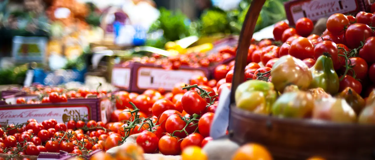 «L’Export cresce»,\u00A0ma è davvero così? Il racconto ottimista del governo si scontra con la realtà dei numeri