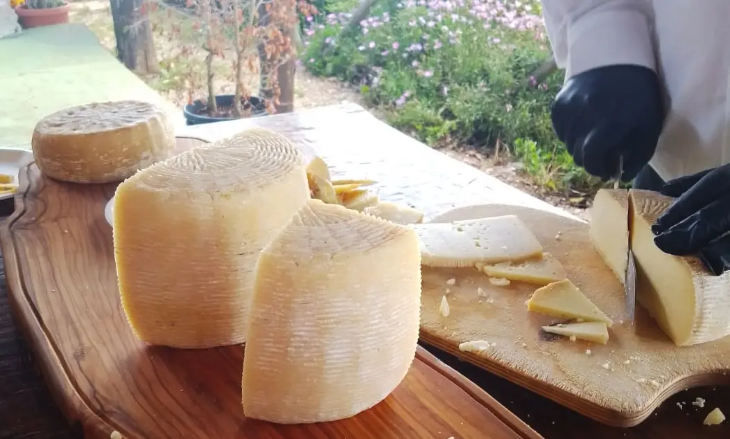 Il Pecorino a latte crudo del Monte Poro rischia di scomparire: «Così proviamo a tenere viva una tradizione centenaria»\n