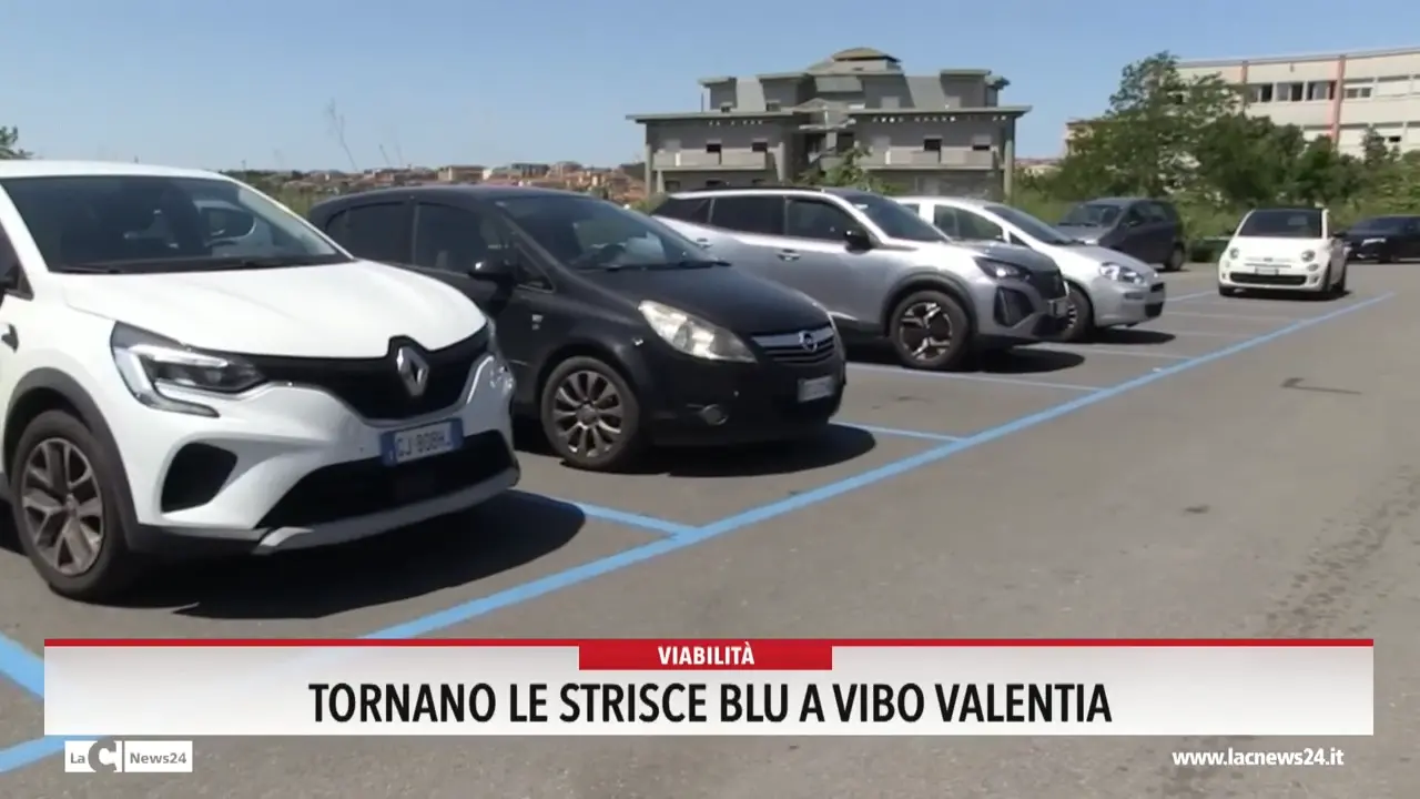 Tornano le strisce blu a Vibo Valentia