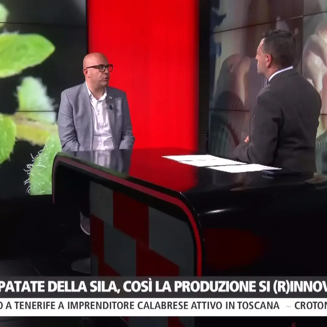Patata della Sila, riprodurre in vitro le piantine per migliorare la qualità: l’innovazione passa dalla Calabria\n