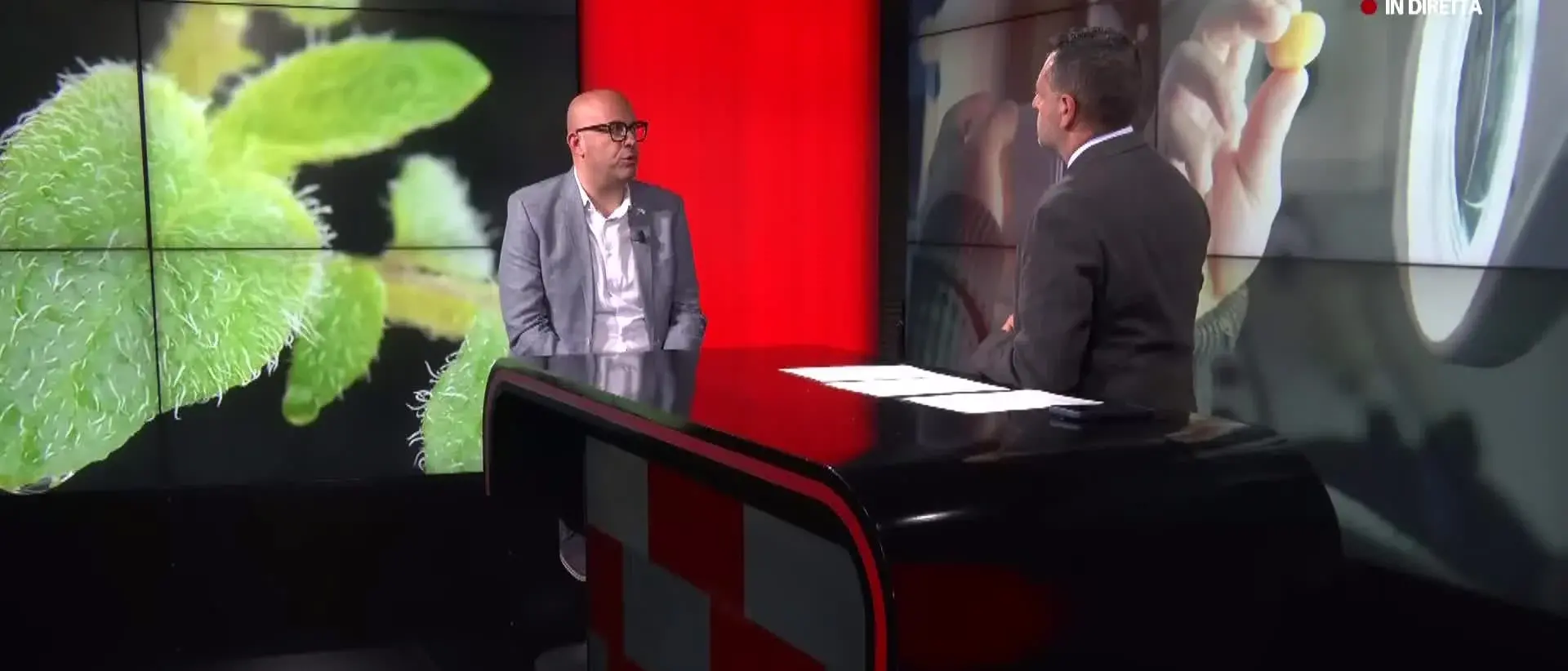 Patata della Sila, riprodurre in vitro le piantine per migliorare la qualità: l’innovazione passa dalla Calabria\n