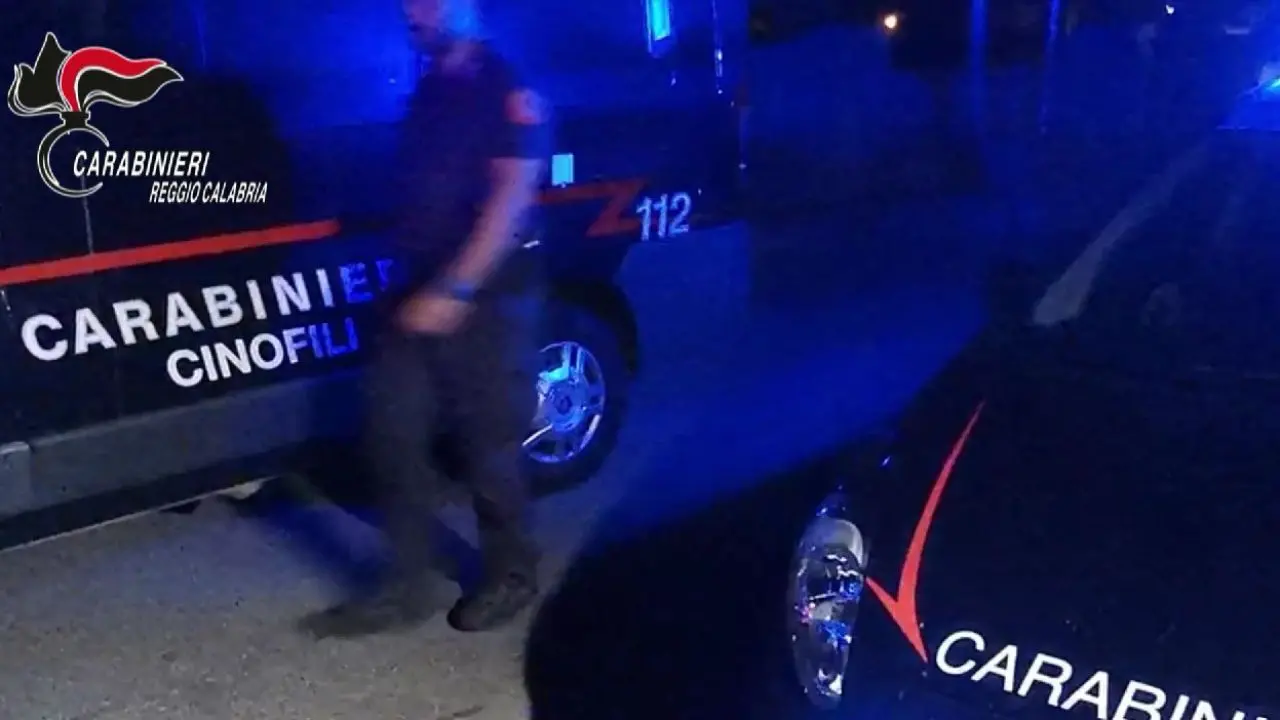 Maxi blitz dei carabinieri contro la 'ndrangheta: 97 arresti