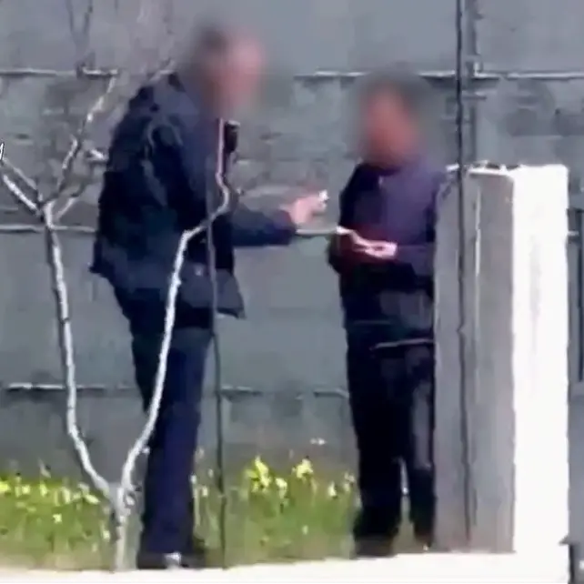 Operazione Millennium, il traffico di droga gestito insieme dai clan reggini come un ramo d’azienda