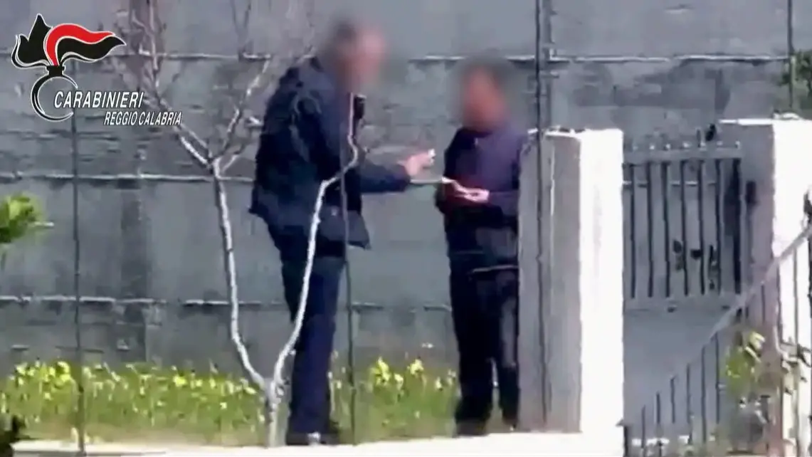 Operazione Millennium, il traffico di droga gestito insieme dai clan reggini come un ramo d’azienda\n