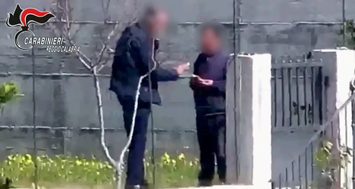 Operazione Millenium, il traffico di droga gestito insieme dai clan reggini come un ramo d’azienda\n