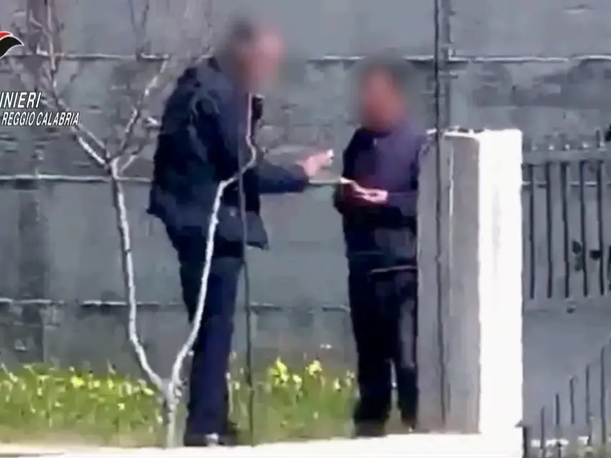 Operazione Millennium, il traffico di droga gestito insieme dai clan reggini come un ramo d’azienda