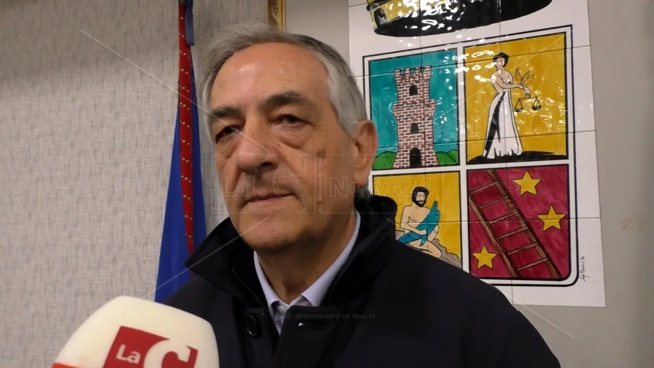 Operazione Millennium, Molinaro (Fdi): «Risposta straordinaria dello Stato alla\u00A0pervasività della ‘ndrangheta»\n