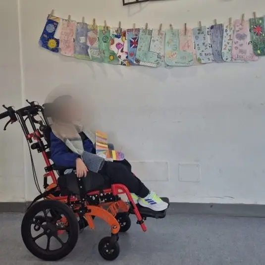 Gita negata a un alunno disabile reggino perché l’Asp ignora la pec: «È rimasto da solo in classe»