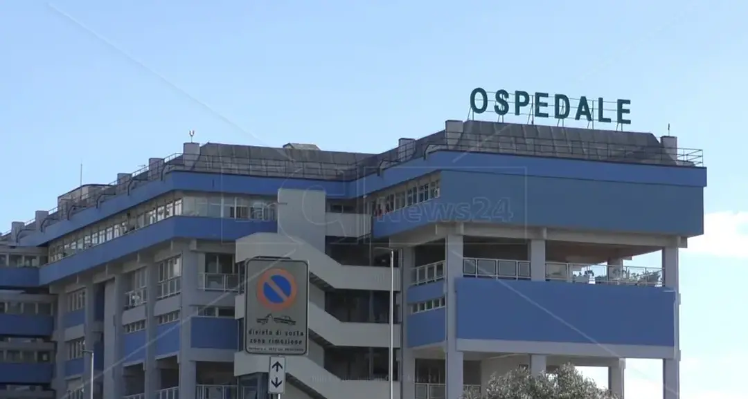 Evento elettorale all’ospedale di Lamezia, i 5 stelle: «L’Asp rimuova il direttore sanitario Gallucci»\n