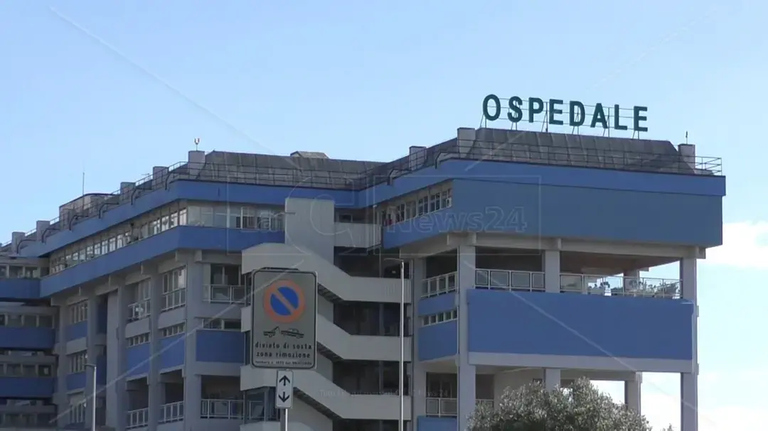 Evento elettorale all’ospedale di Lamezia, i 5 stelle: «L’Asp rimuova il direttore sanitario Gallucci»\n