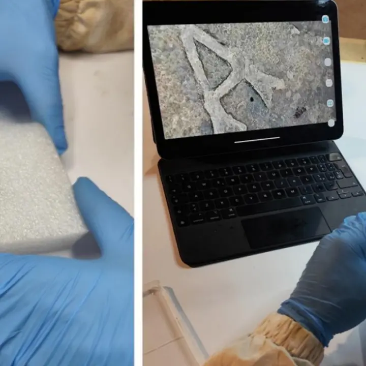 Al via il restauro del Carlino d’argento, la moneta coniata a Catanzaro nel ‘500\n