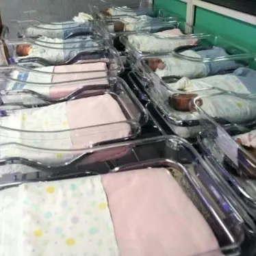 Bambini venduti a Crotone negli anni 70, il bigliettino arrivato alla madre di due neonati scomparsi: «Grazie dei gemellini»\n