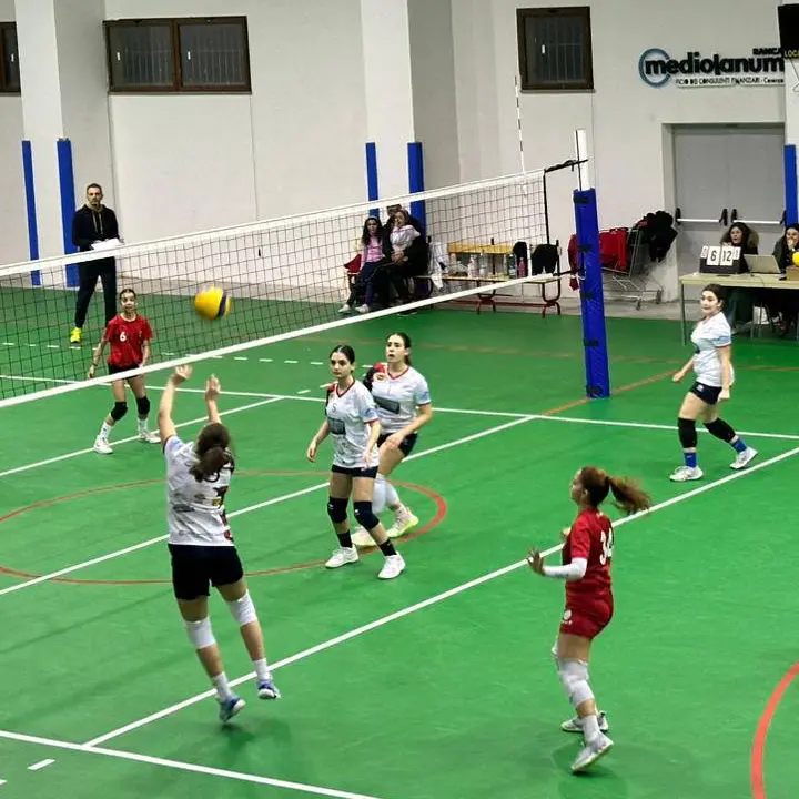 Volley, quattro squadre per un sogno: le final four della Coppa Calabria femminile di Serie D garantiranno spettacolo\n