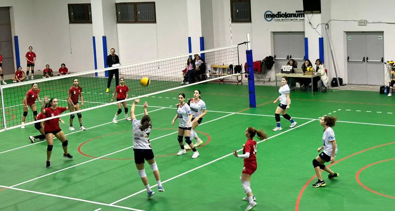 Volley, quattro squadre per un sogno: le final four della Coppa Calabria femminile di Serie D garantiranno spettacolo\n