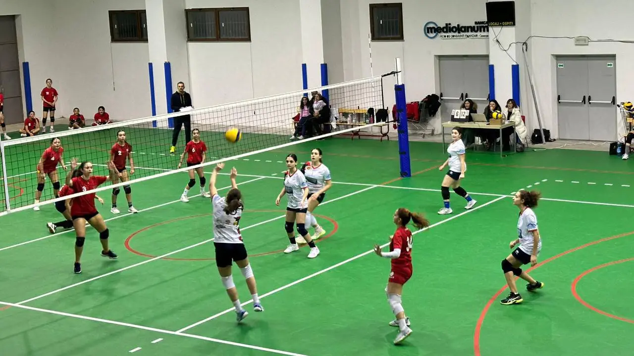 Volley, quattro squadre per un sogno: le final four della Coppa Calabria femminile di Serie D garantiranno spettacolo\n