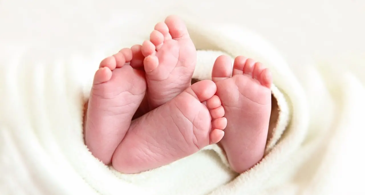 Arginare l’Italia che invecchia, Gatjc rilancia la sfida della fertilità per far nascere il futuro\n