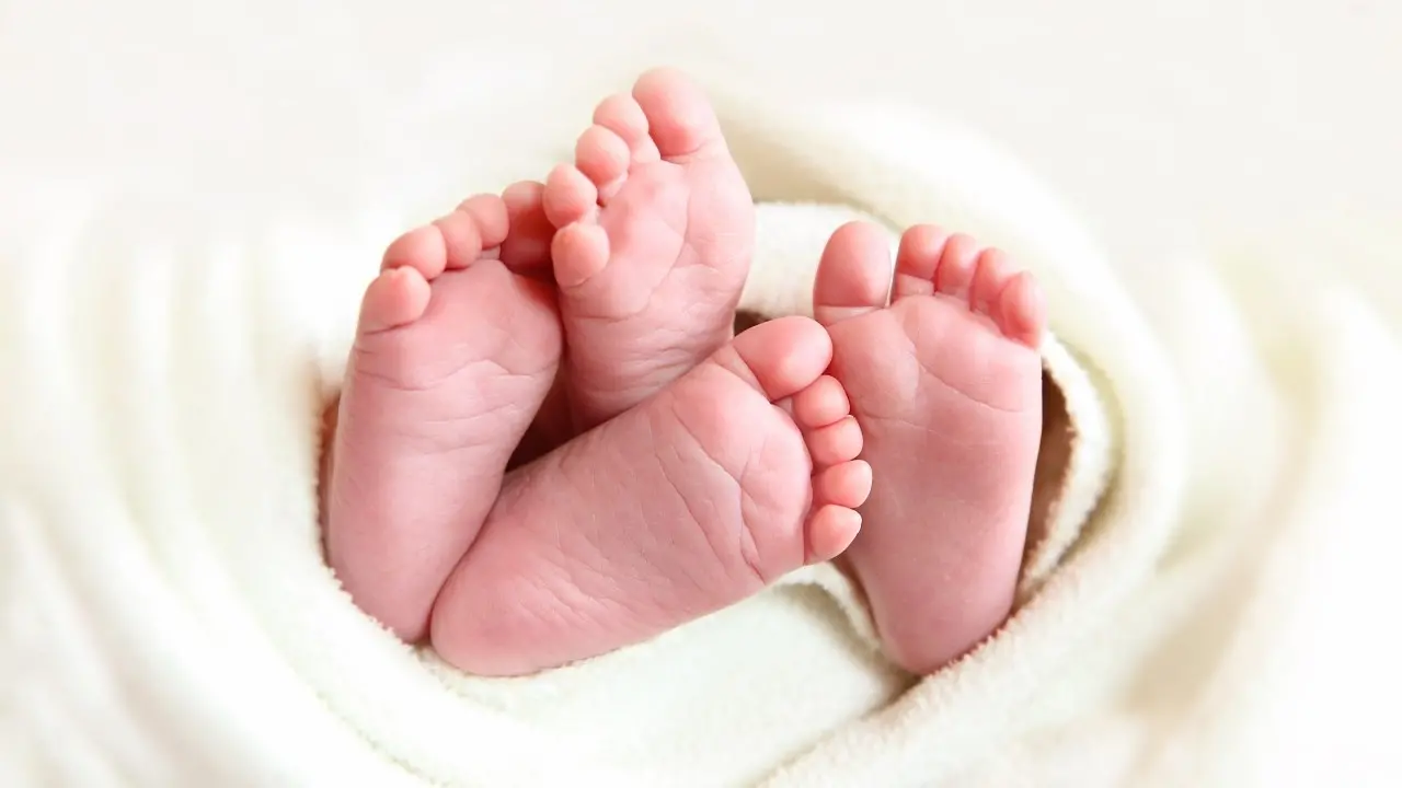 Arginare l’Italia che invecchia, Gatjc rilancia la sfida della fertilità per far nascere il futuro\n